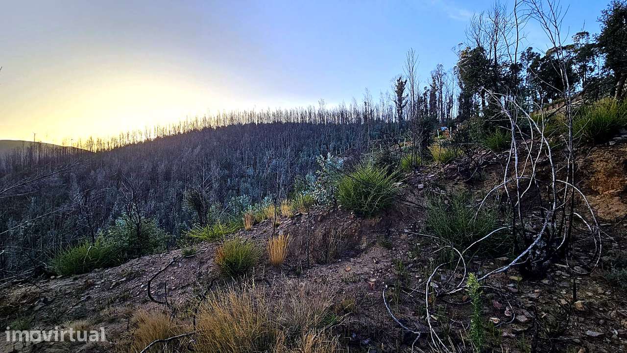 Terreno com Vista Douro em Penafiel - Grande imagem: 4/12