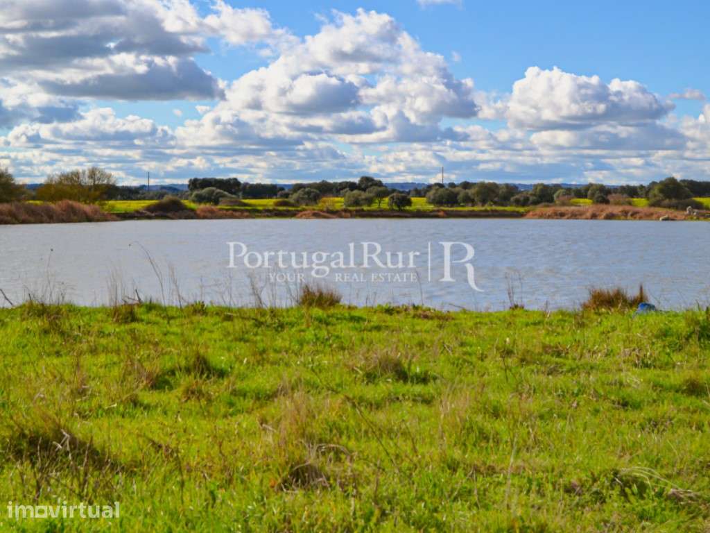 Propriedade de 155 ha com barragem privada - Grande imagem: 3/38