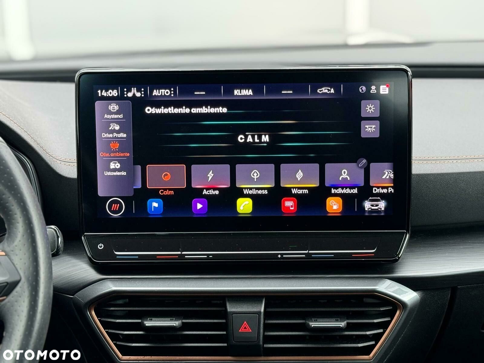 Cupra Formentor 2.0 TSI 4Drive VZ DSG - 30
