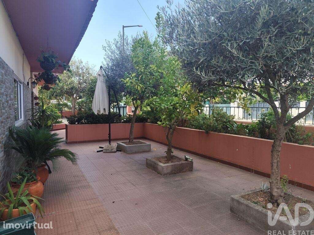 Casa de Cidade T4 em Mogadouro, Valverde, Vale de Porco e Vilar de Rei - Grande imagem: 5/30