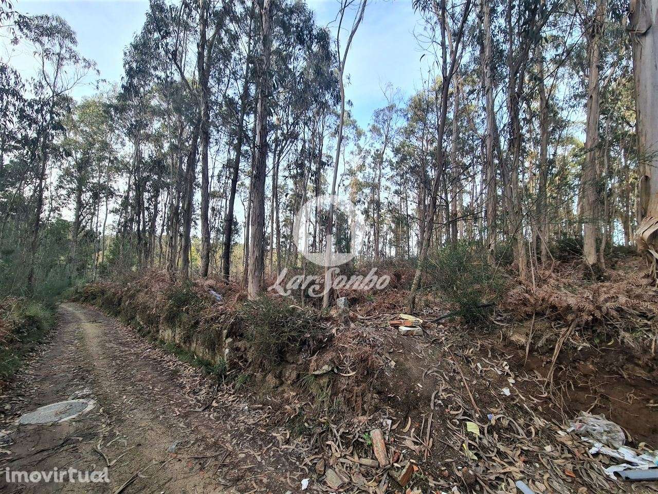 Bouça c/ 8.000m2 em Tougues, Vila do conde - Grande imagem: 3/7