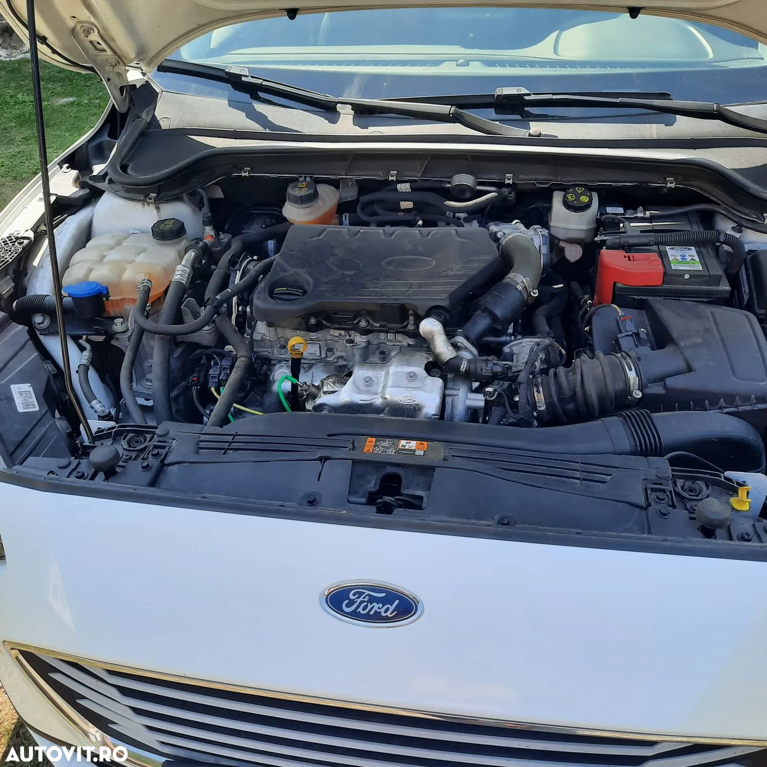 Ford Focus - 11