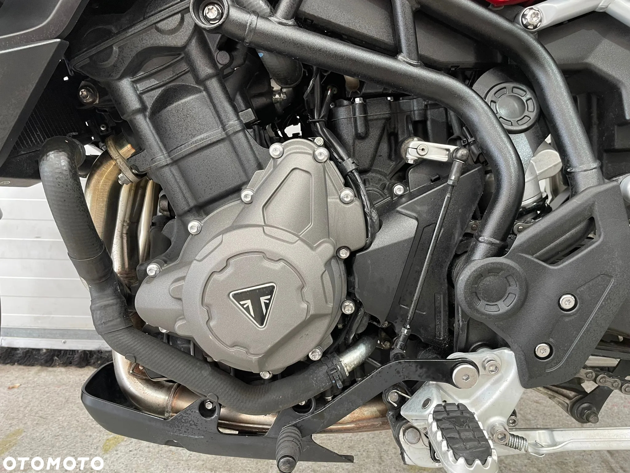 Triumph Tiger - 15