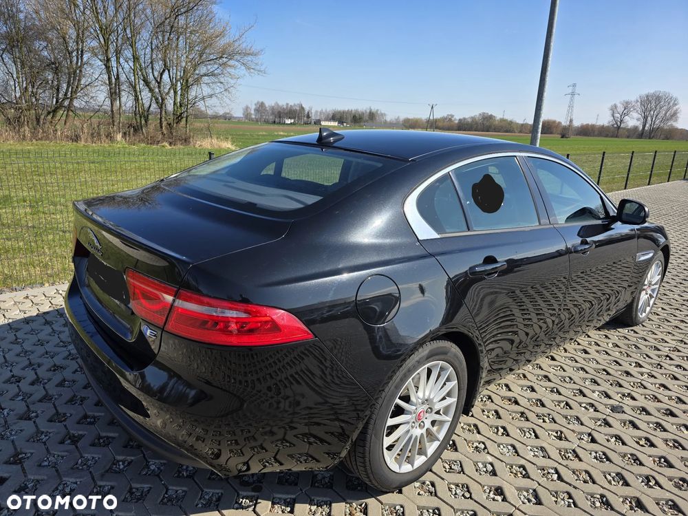 Jaguar XE E-Performance Pure - 12