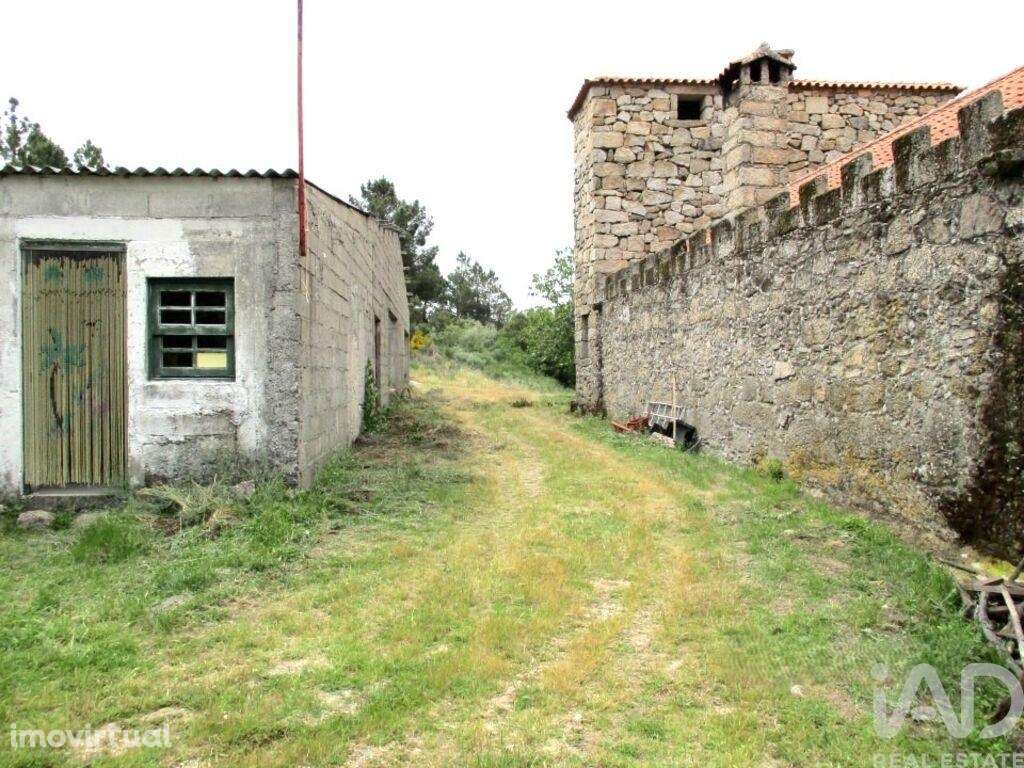 Terreno T3 em Sortelha de 140000,00 m2 - Grande imagem: 3/26