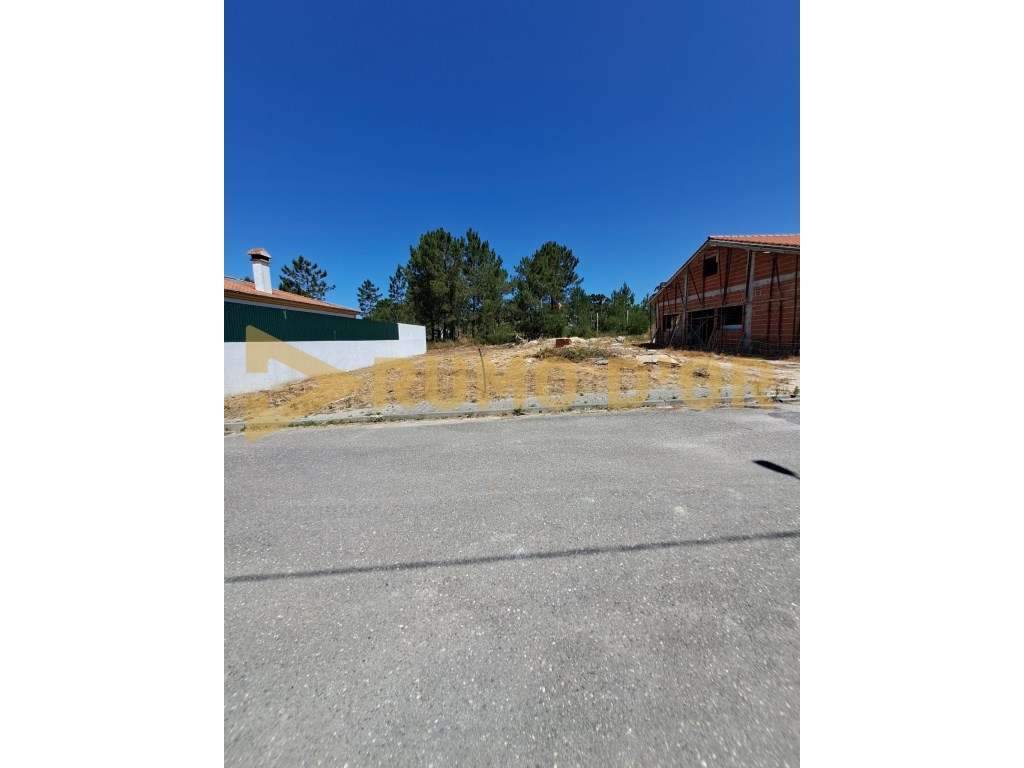 Lote Terreno em Vale da Pedra - Cartaxo - Grande imagem: 5/5