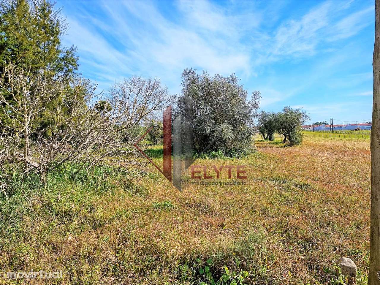 Terreno com moradia em ruinas - Grande imagem: 4/9