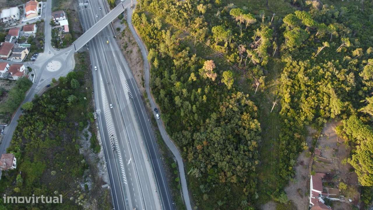 Terreno rústico com 10.001 m2 em Cruz dos Morouços, Santa Clara (Coimb - Grande imagem: 3/8
