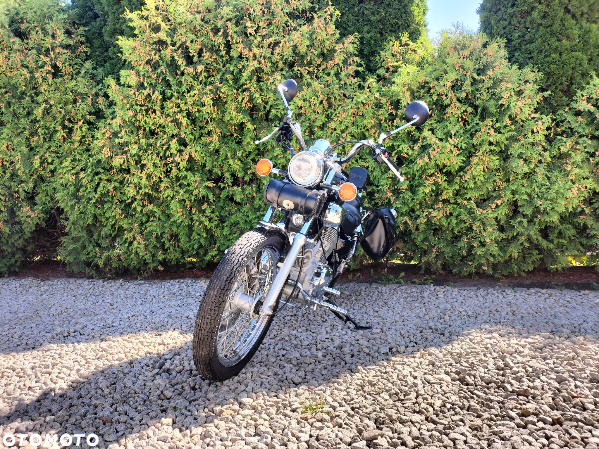 Yamaha Virago - 5