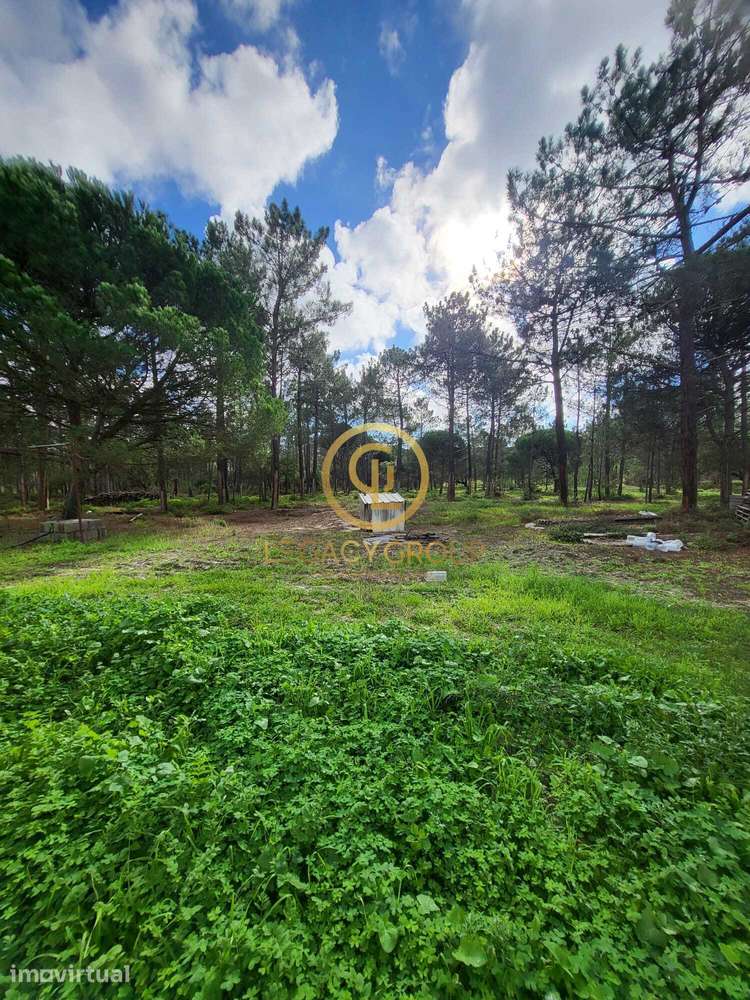 Terreno Industrial para investimento em Sines - Grande imagem: 4/18