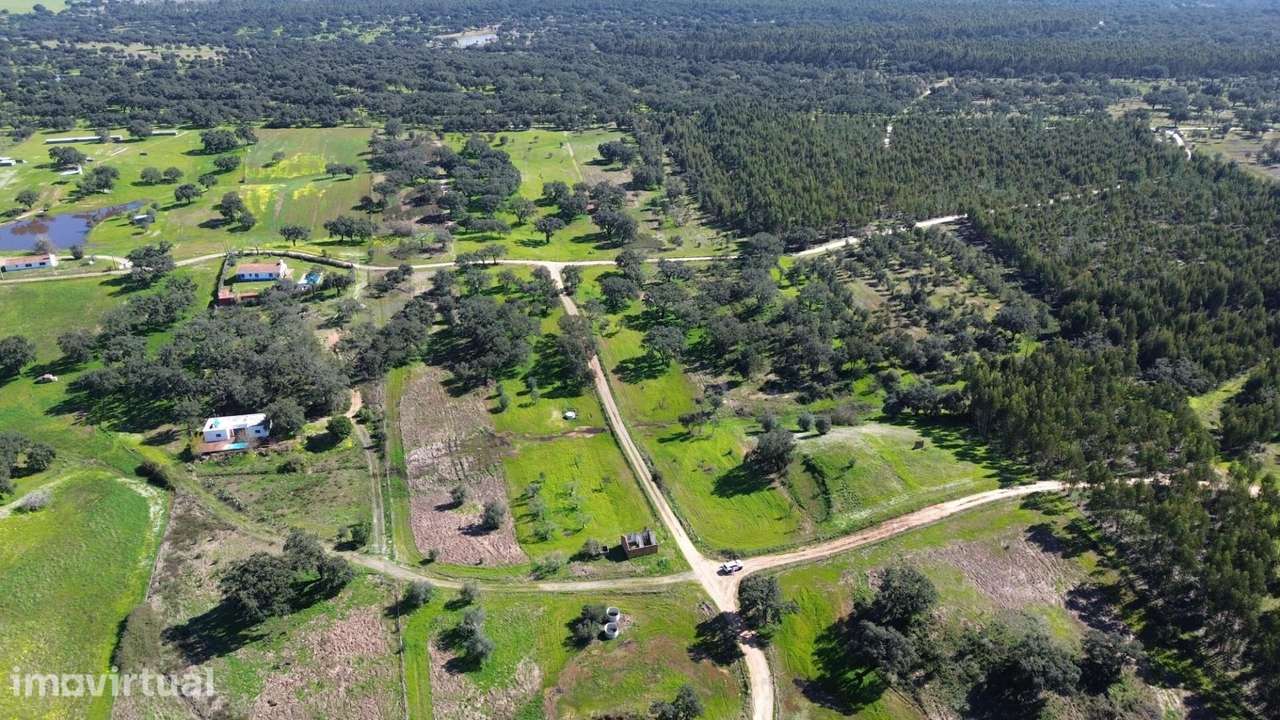 Terreno Rústico com 1,8 Hectares e Rendimento de Sobro – Próximo da Ba - Grande imagem: 4/16