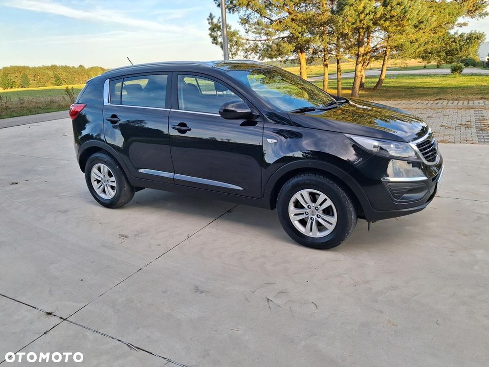 Kia Sportage - 17