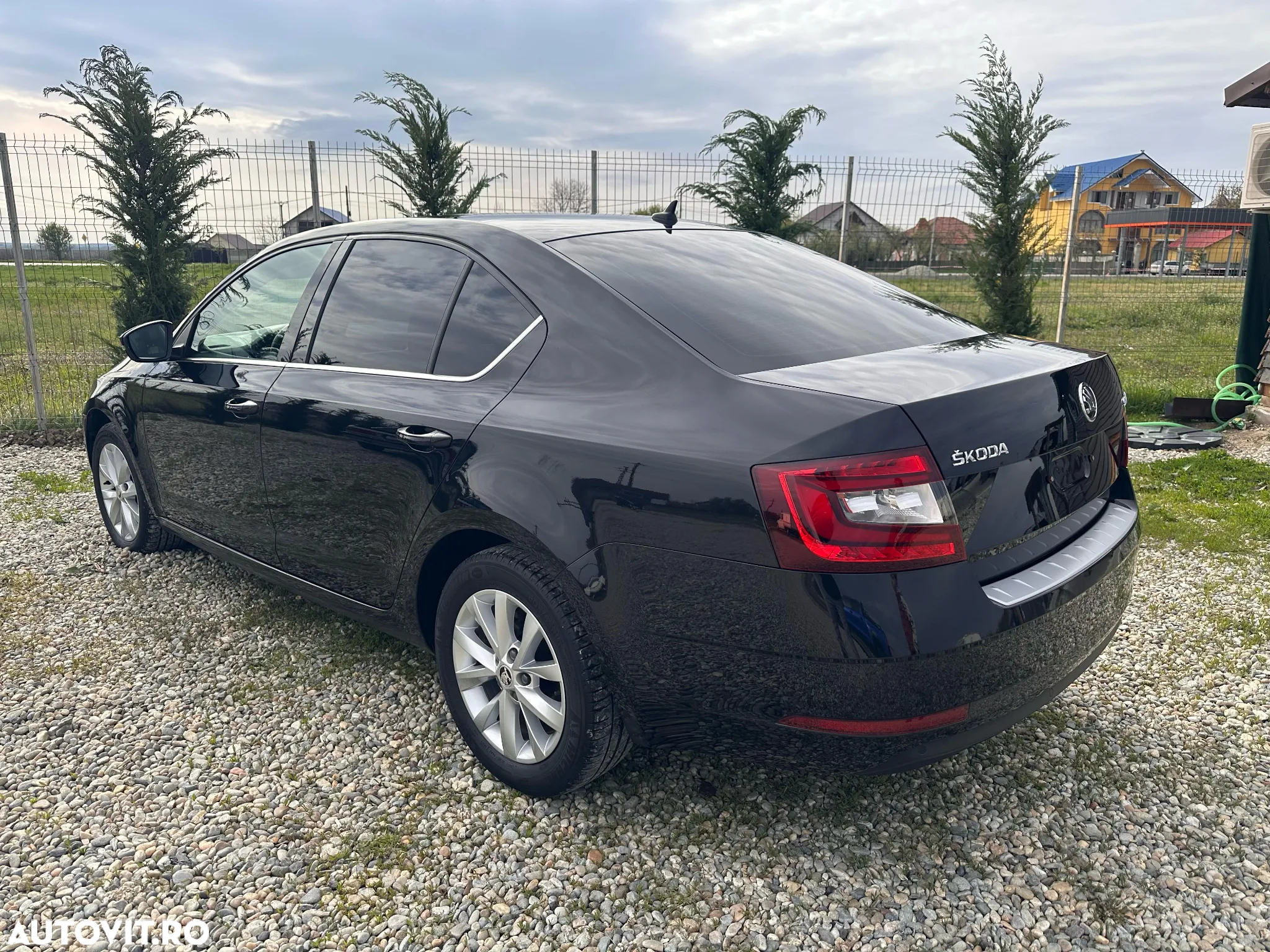 Skoda Octavia 1.0 TSI (Green tec) DSG Ambition - 4