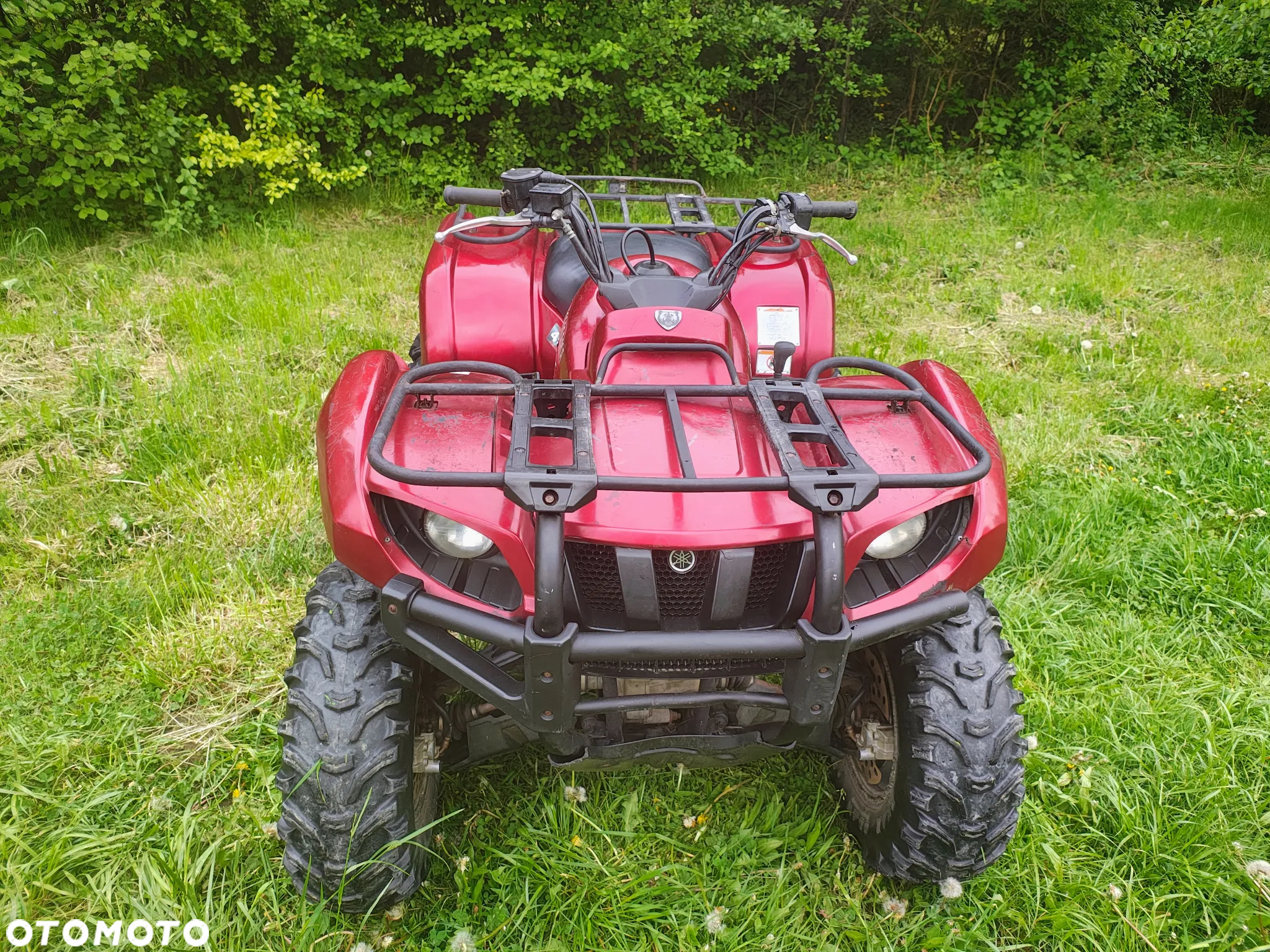Yamaha Grizzly