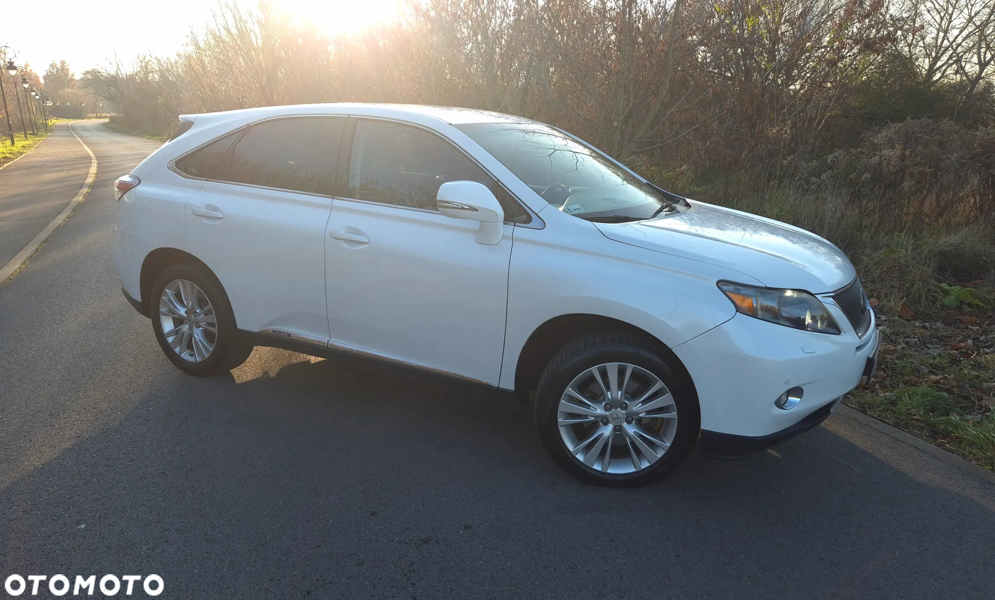 Lexus RX - 6