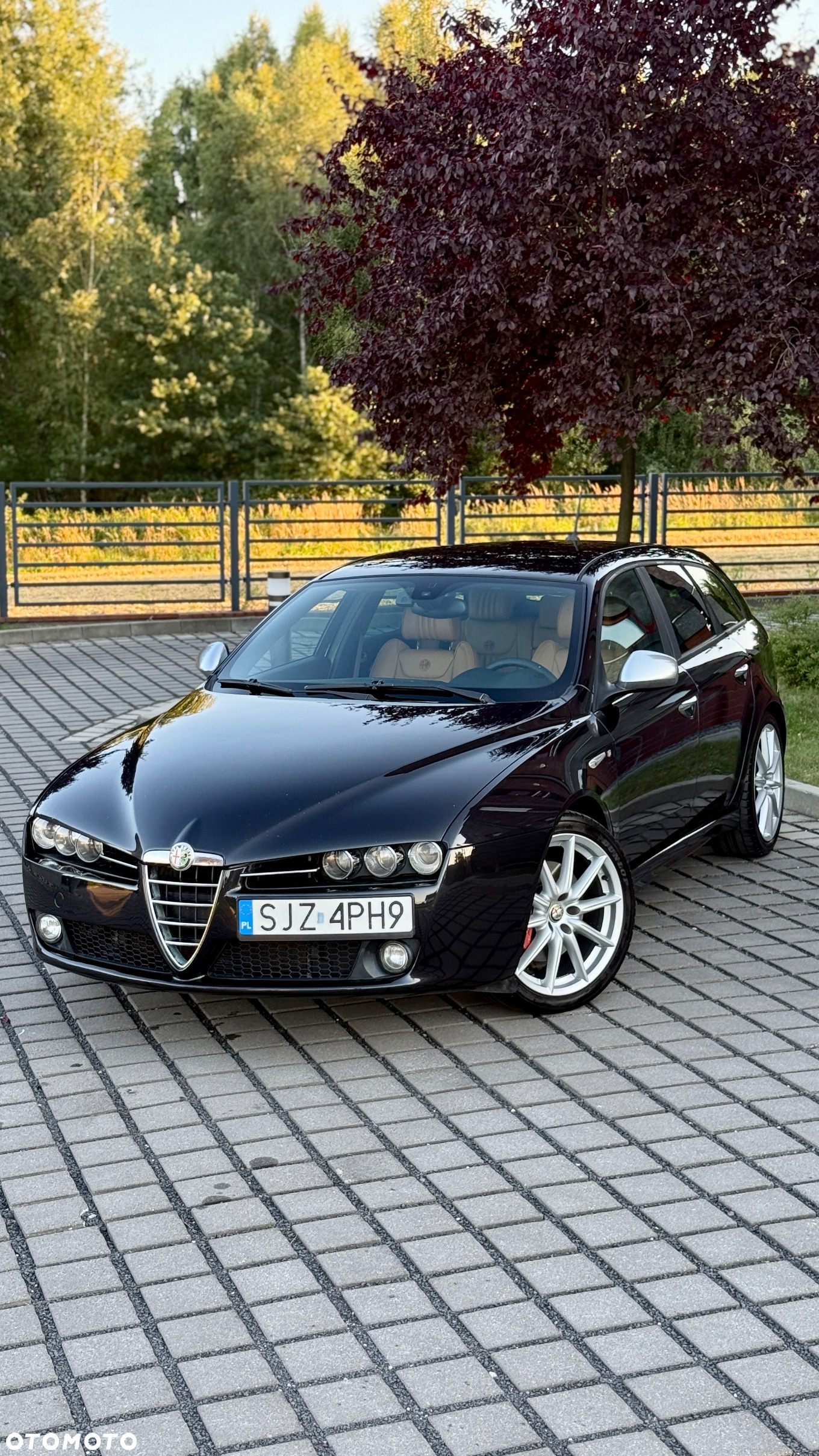 Alfa Romeo 159 1.9 JTDM 16V DPF ti - 39