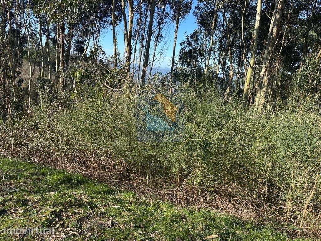 Venda Terreno - Grande imagem: 5/13