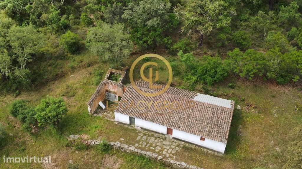 Quinta de 6 hectares perto de São Martinho das Amoreiras - Grande imagem: 4/37