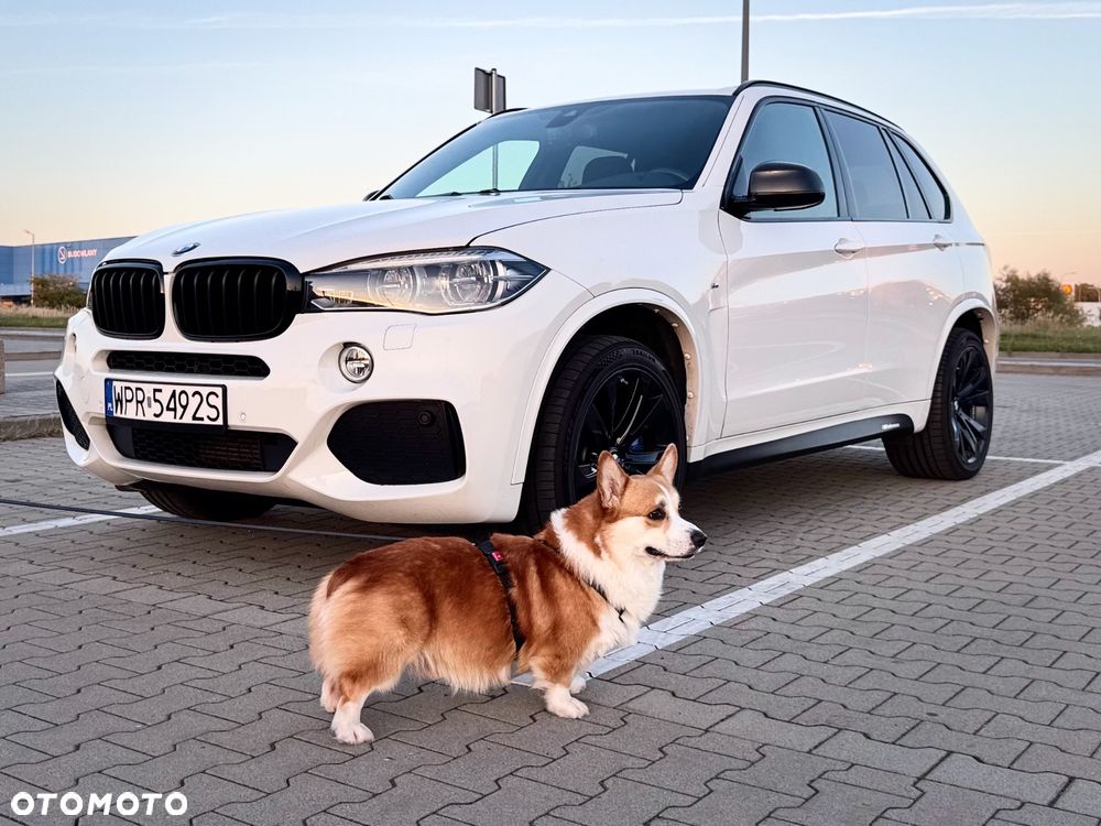 BMW X5 xDrive30d - 1