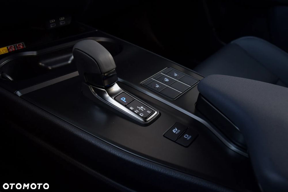 Lexus UX 300h F Sport Design - 12