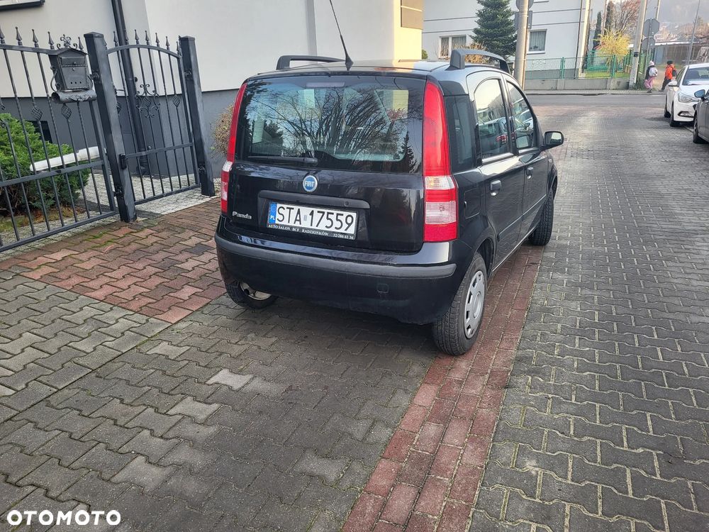Fiat Panda 1.2 Dynamic - 3