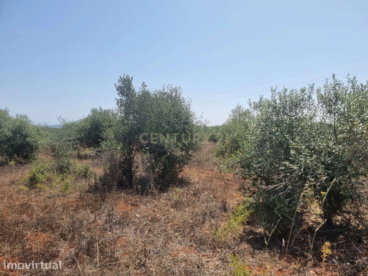 Terreno Aprovado em São Bartolomeu de Messines | Silves | Algarve - Grande imagem: 2/9