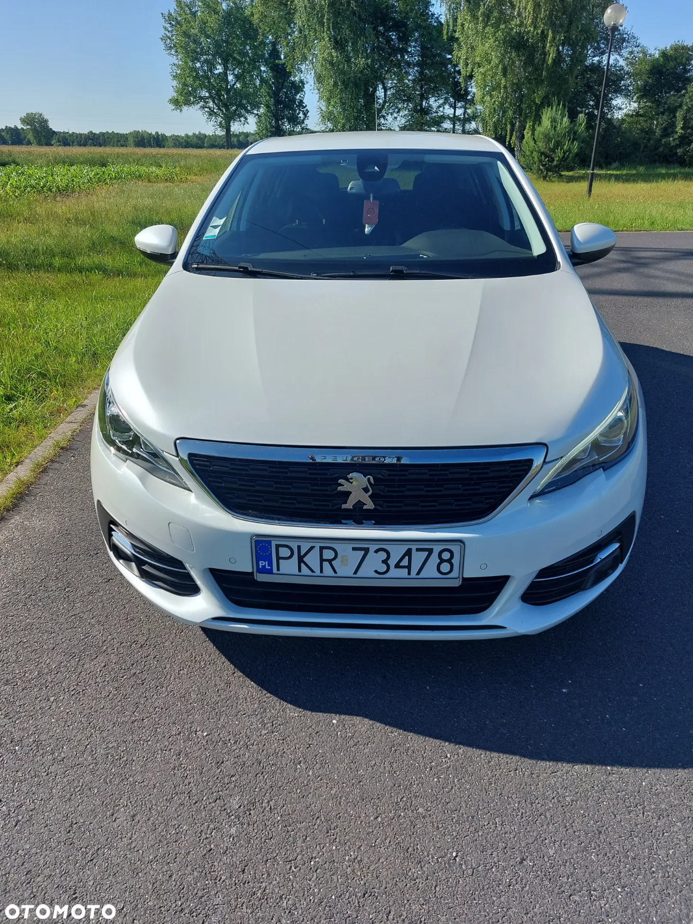 Peugeot 308 1.5 BlueHDi Active Pack Business S&S - 2