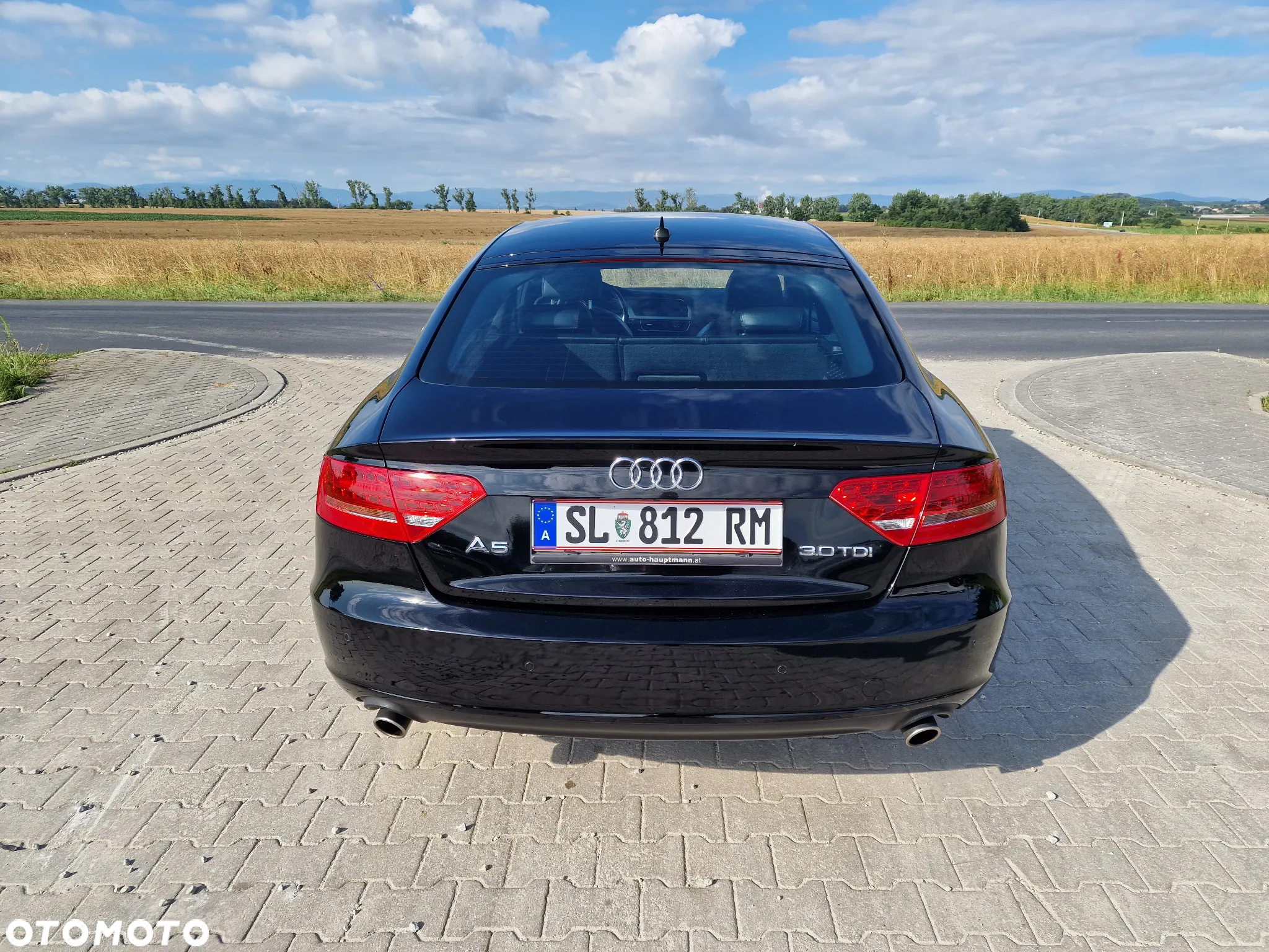 Audi A5 3.0 TDI Sportback quattro DPF S tronic - 12