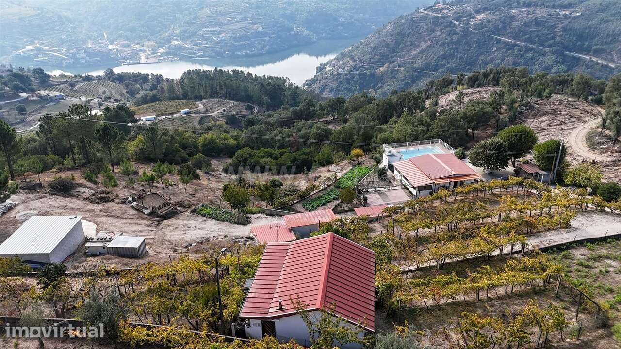 Quintinha T3 / Baião, Santa Cruz do Douro e São Tomé de Covelas - Grande imagem: 3/20