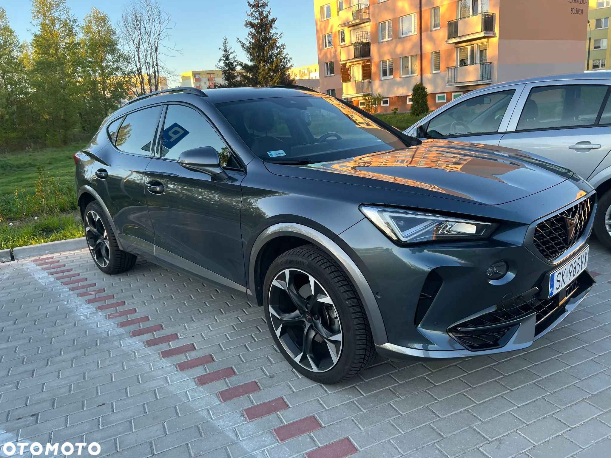 Cupra Formentor 2.0 TSI 4Drive DSG - 1