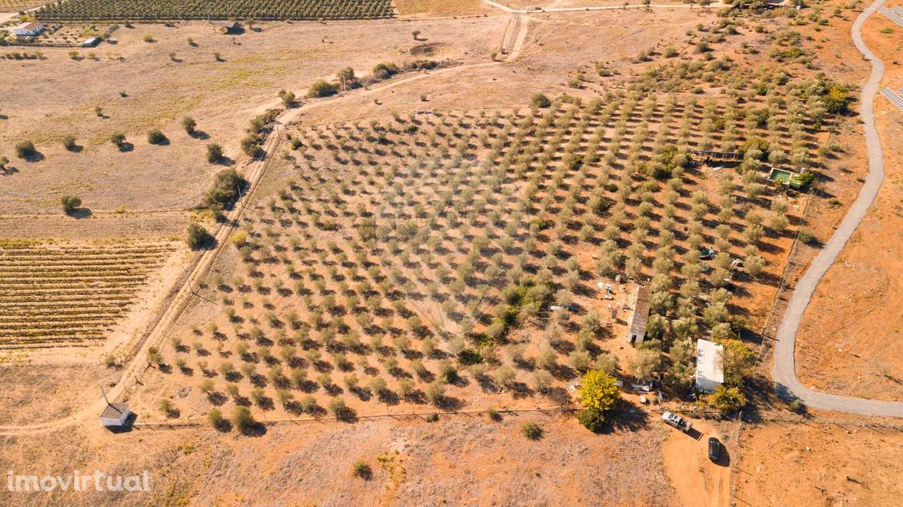 Terreno  para venda - Grande imagem: 4/14