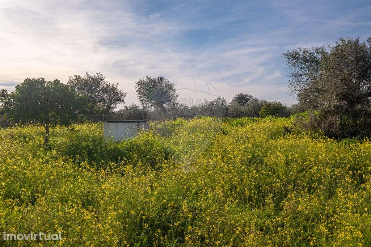 Moradia T3 para venda - Grande imagem: 3/39