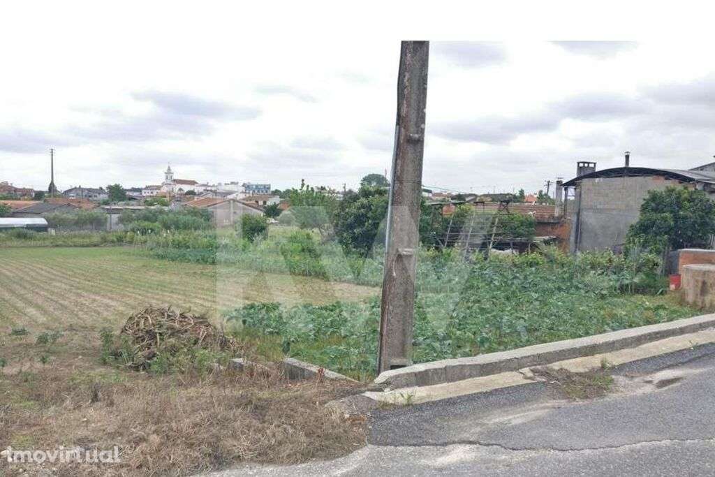 Terreno Urbano em Fermentelos a escassos metros da Pateira, com 717 m2 - Grande imagem: 2/11