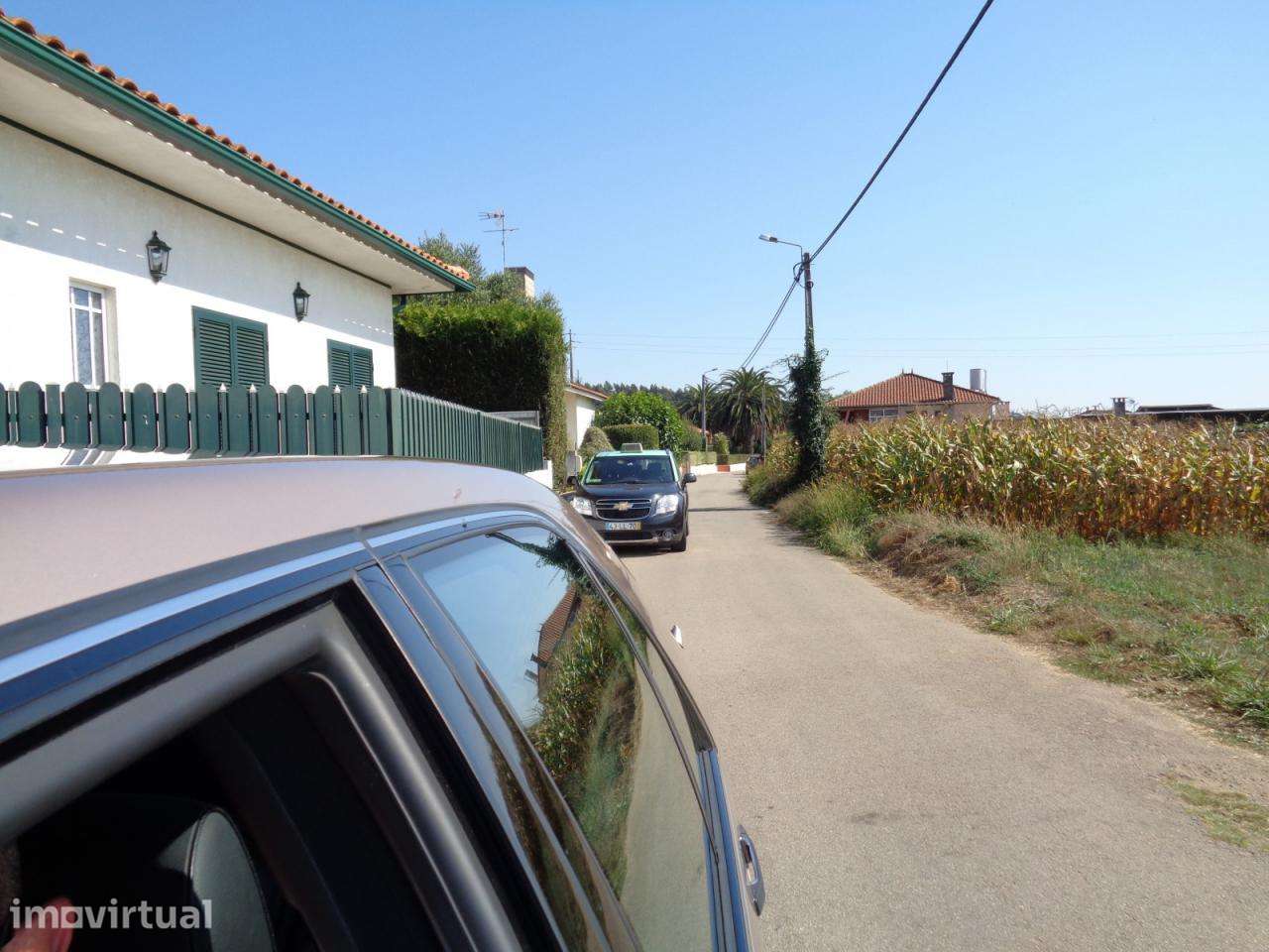 Terrenos em Tonce - Loureiro - O Azeméis - Grande imagem: 3/6