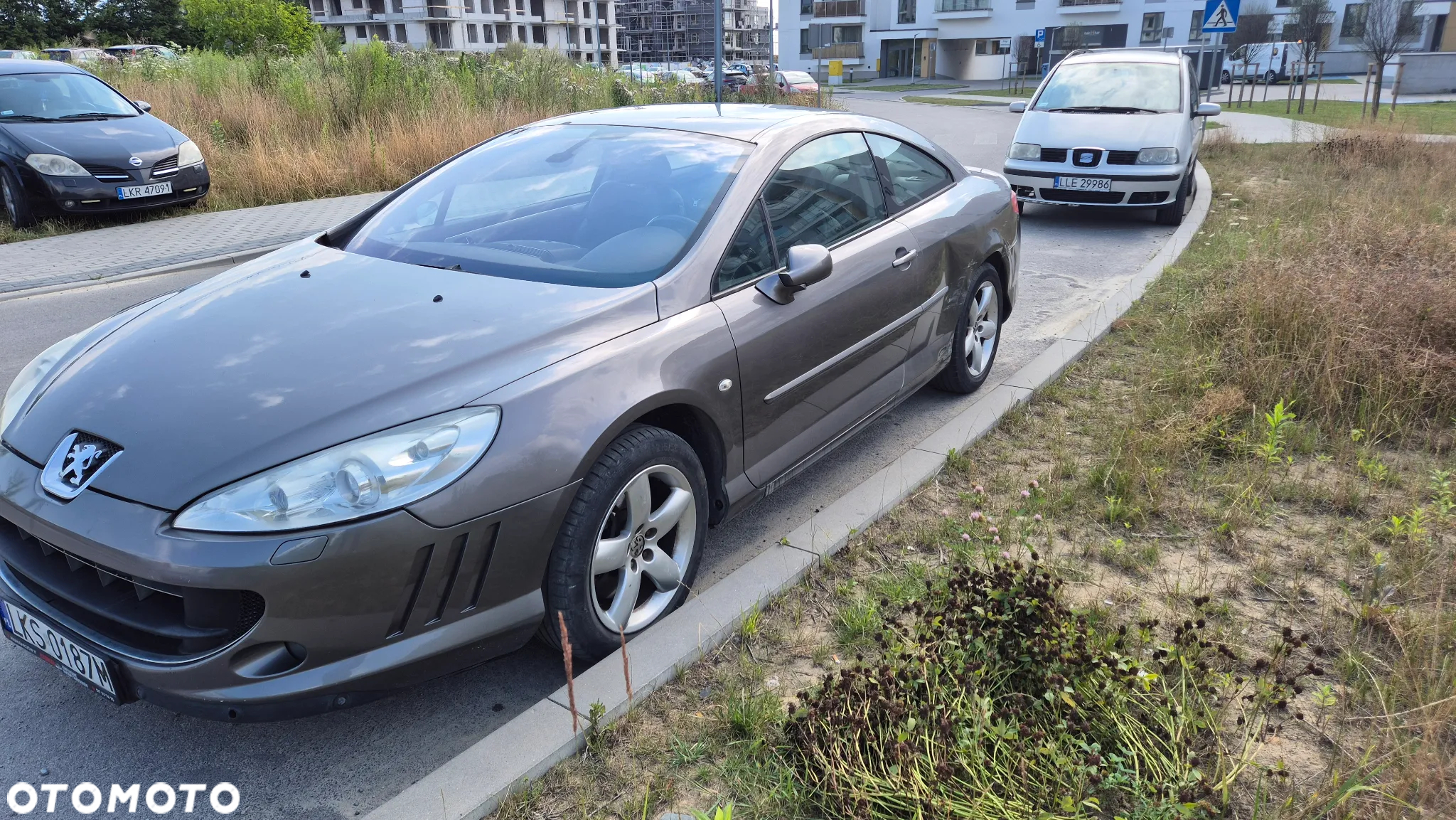 Peugeot 407 - 7