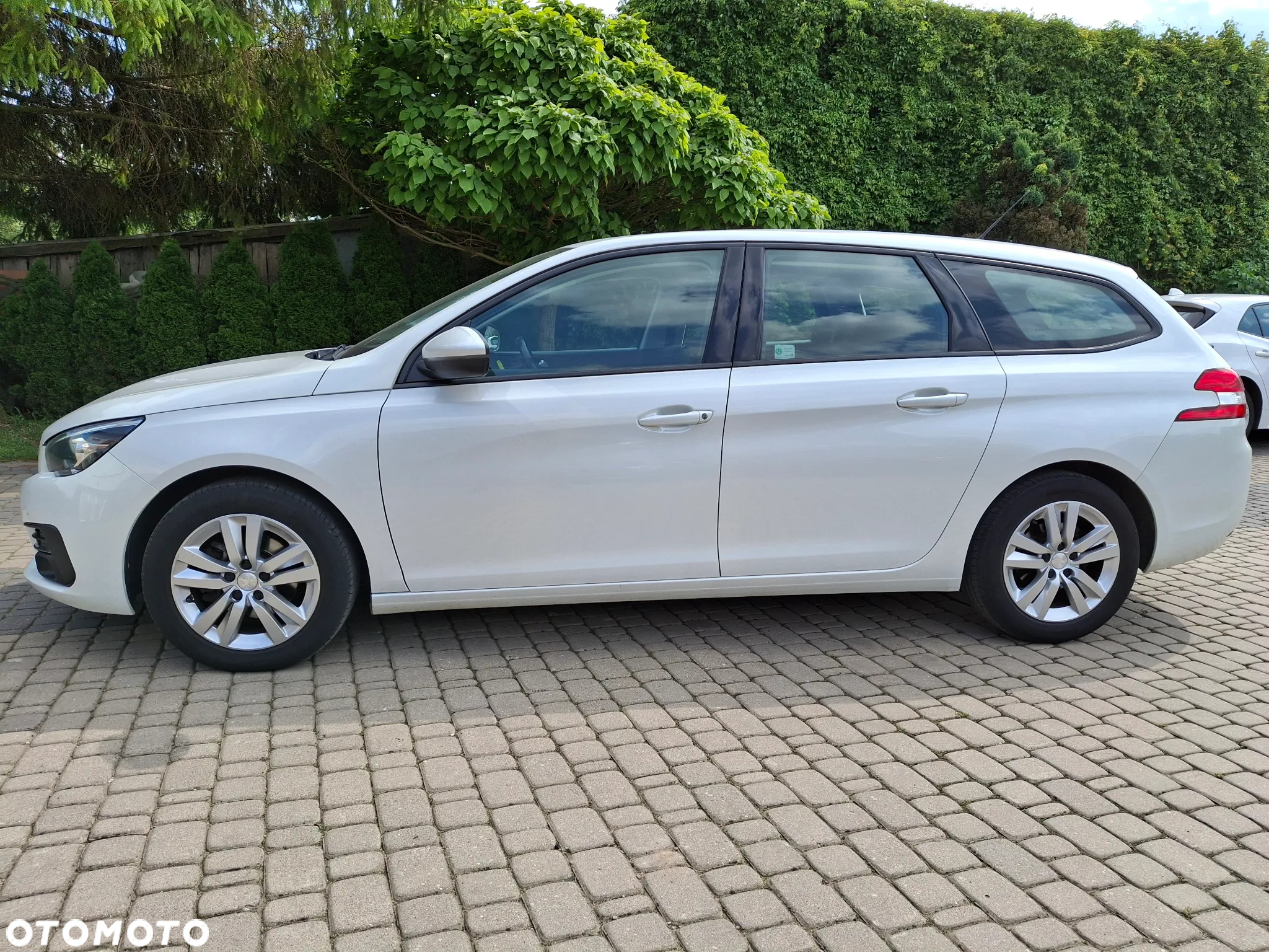Peugeot 308 1.5 BlueHDi Active Pack S&S - 13