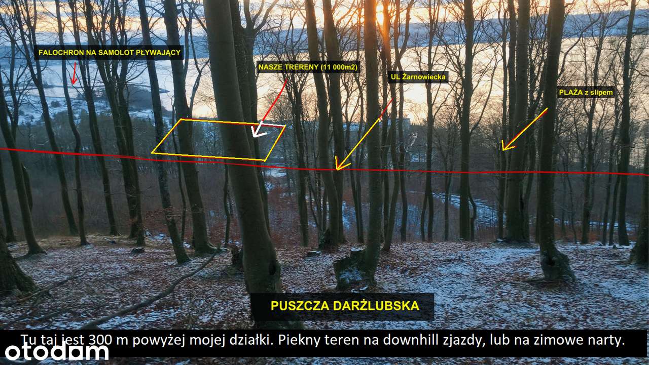 Unikatowa działka 1800m2 z prywatną plażą - Jezioro Żarnowieckie - Pełny obrazek: 5/7