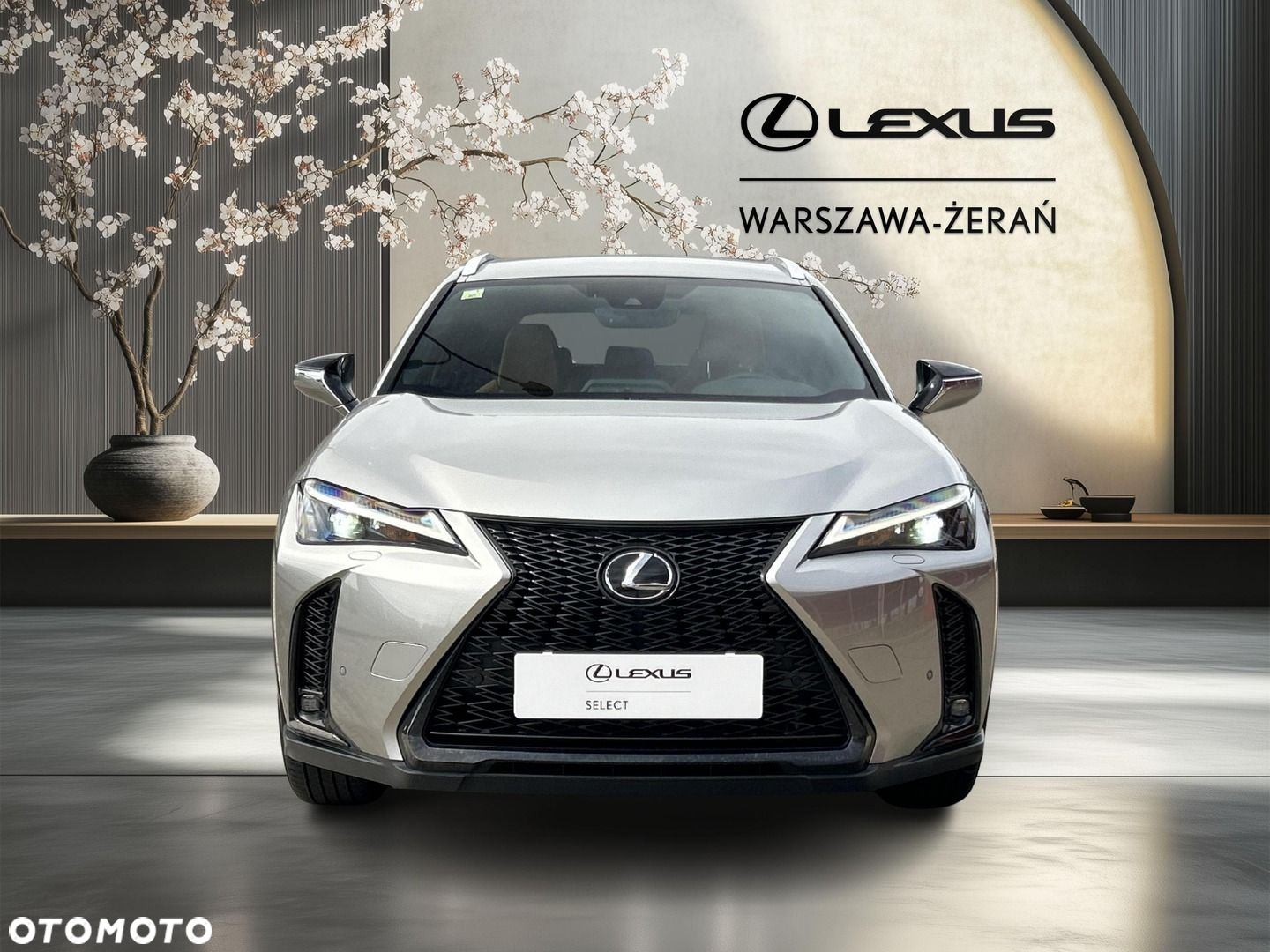 Lexus UX - 10