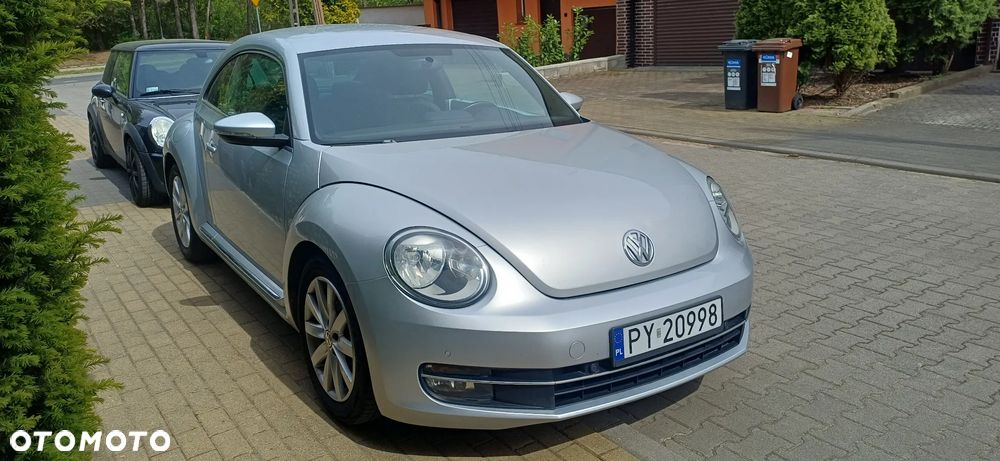 Volkswagen Beetle - 10