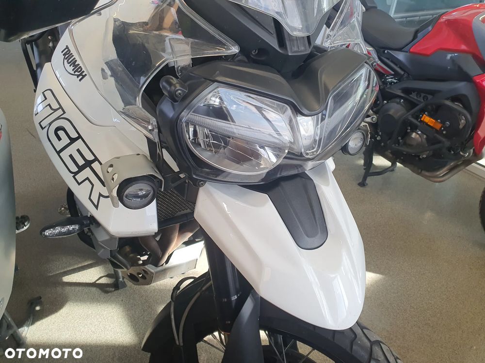 Triumph Tiger - 22