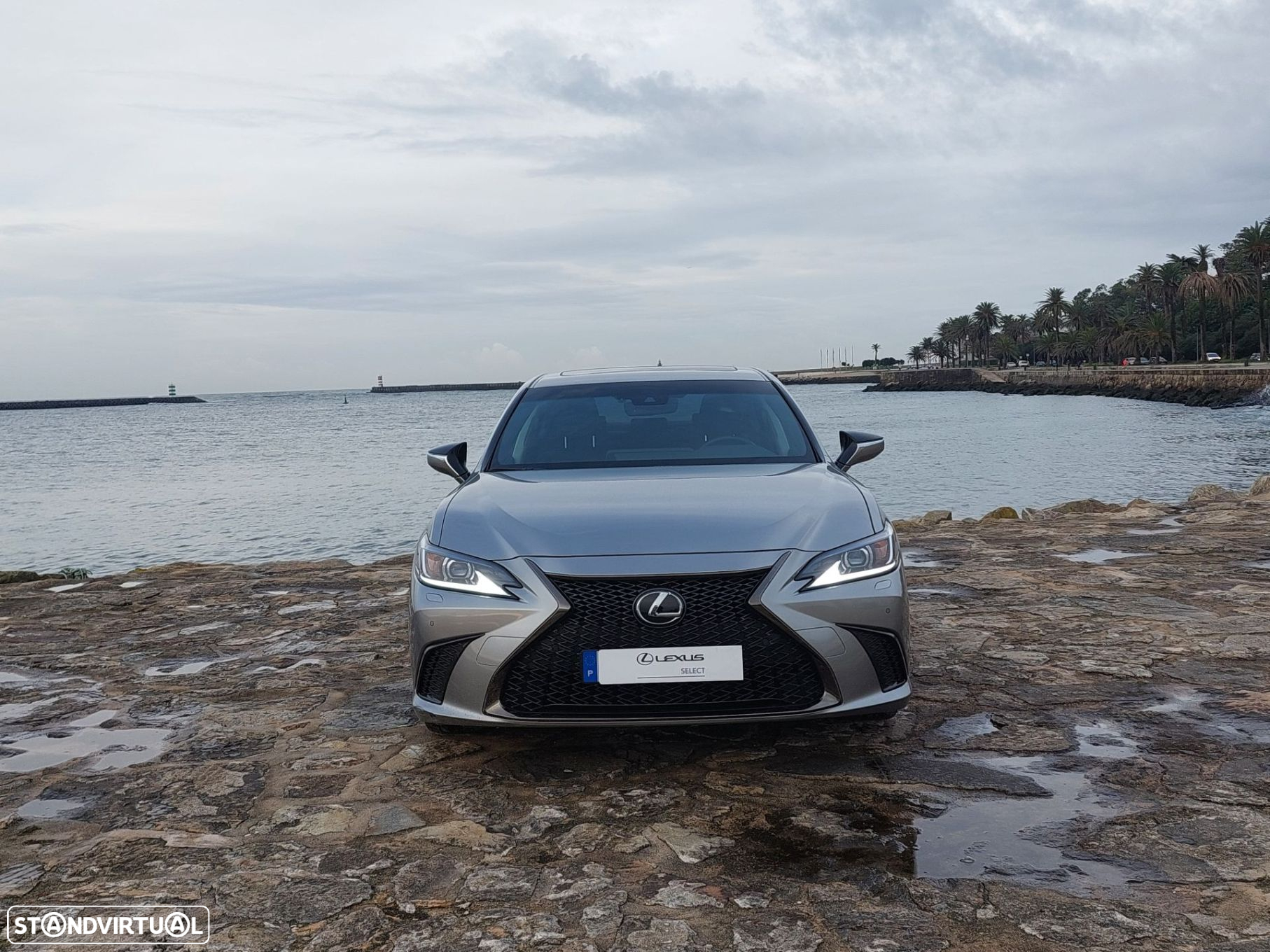 Lexus es-300h - 8