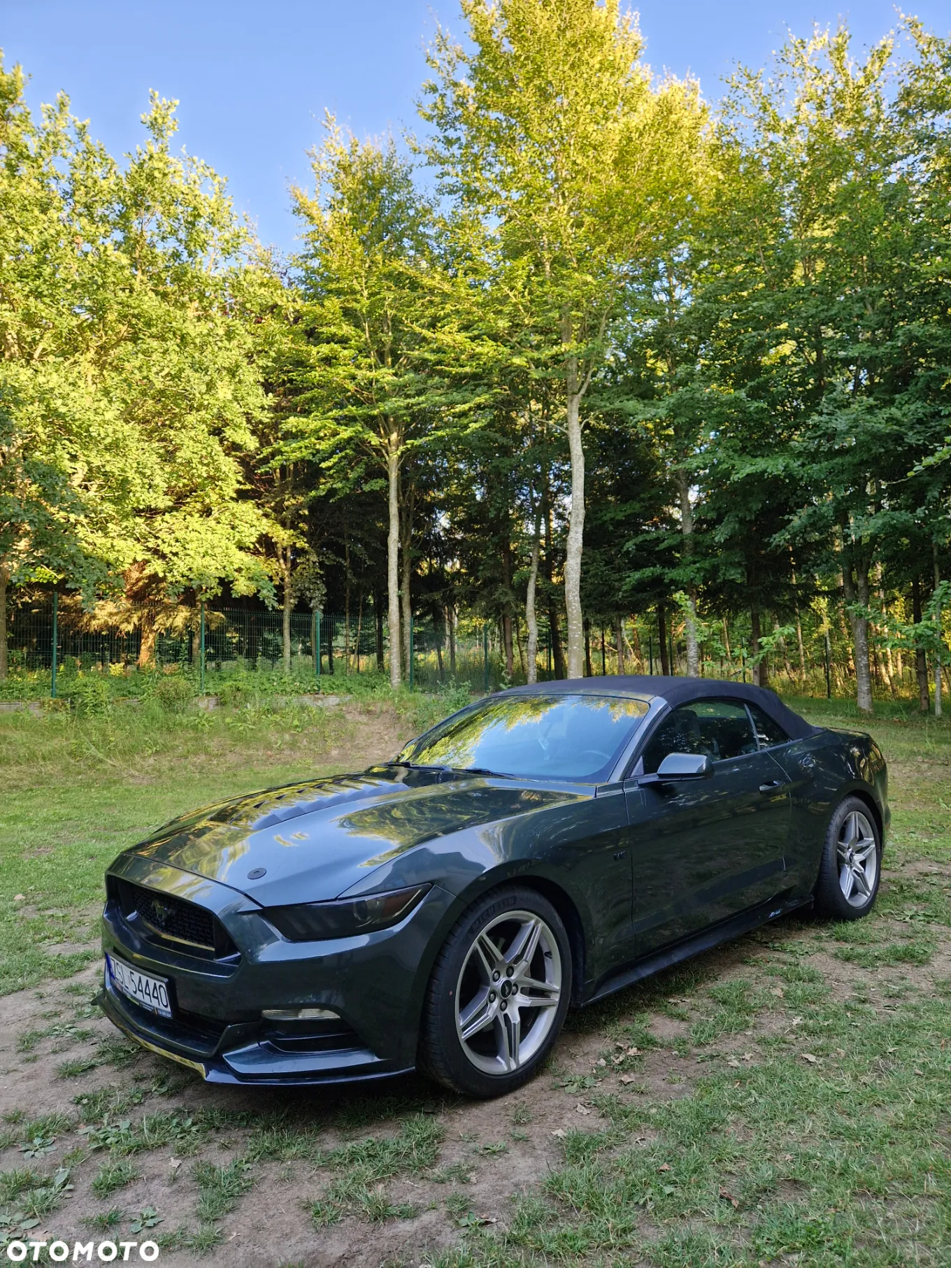 Ford Mustang 3.7 V6 - 11