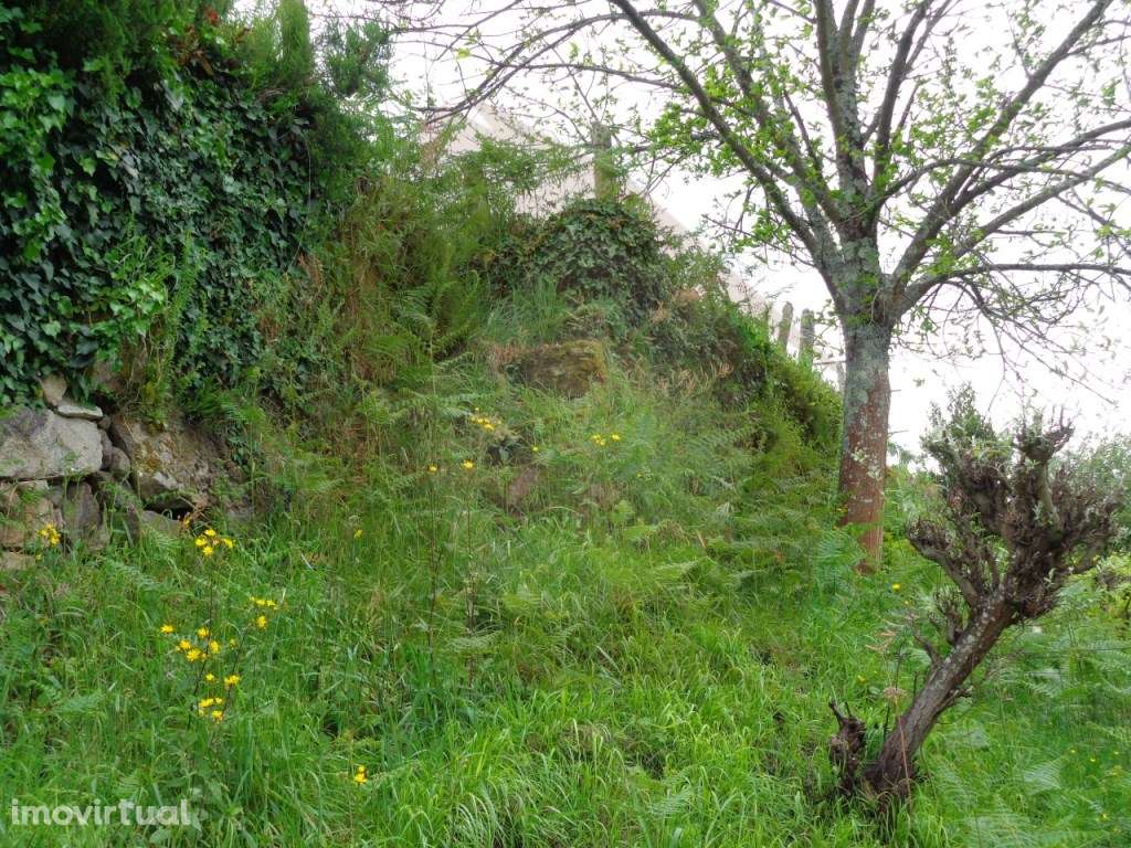 TERRENO URBANO - MELGAÇO - Grande imagem: 4/27