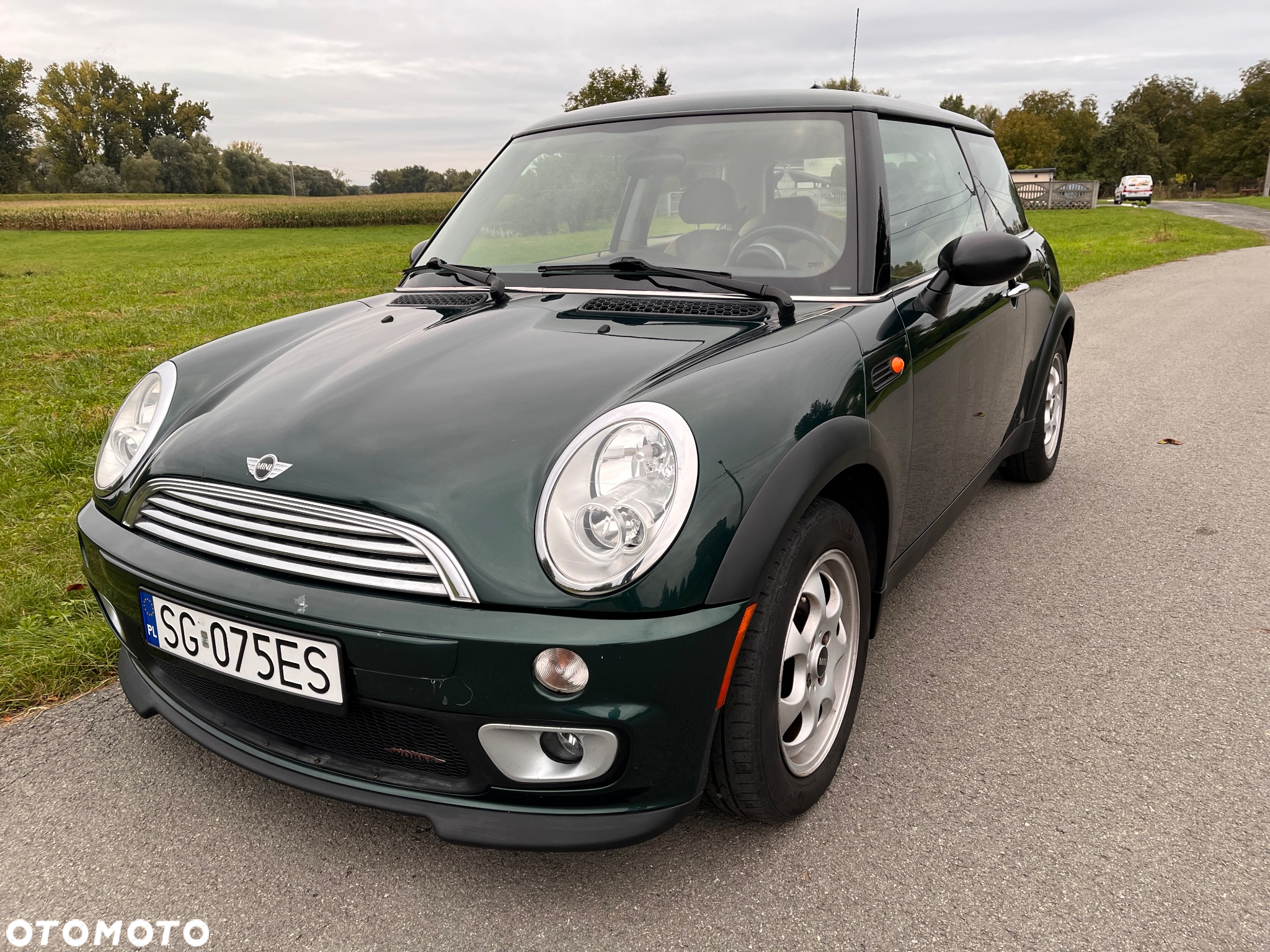 MINI ONE salt - 17