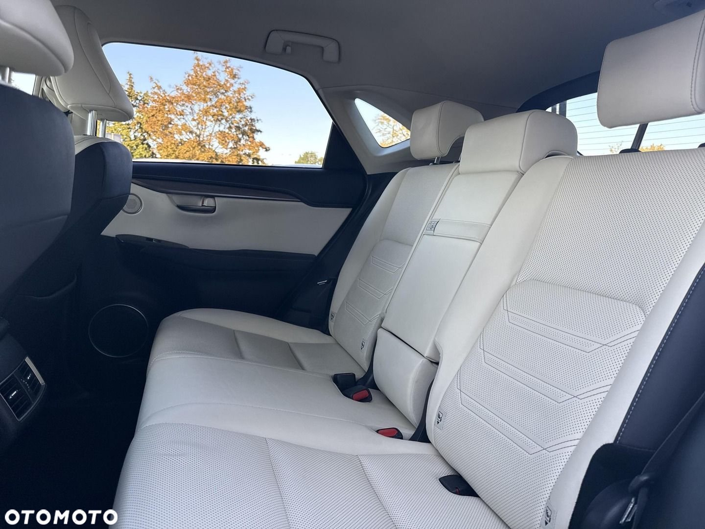 Lexus NX - 17