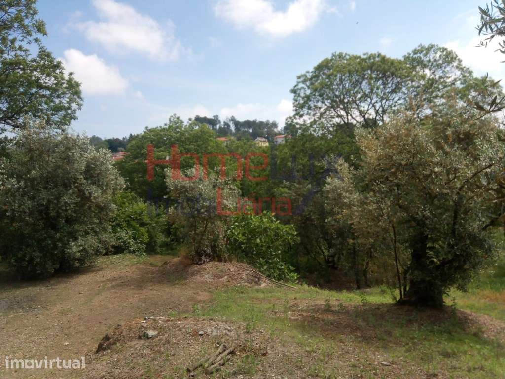 Excelente Terreno para venda em Viseu. - Grande imagem: 2/16