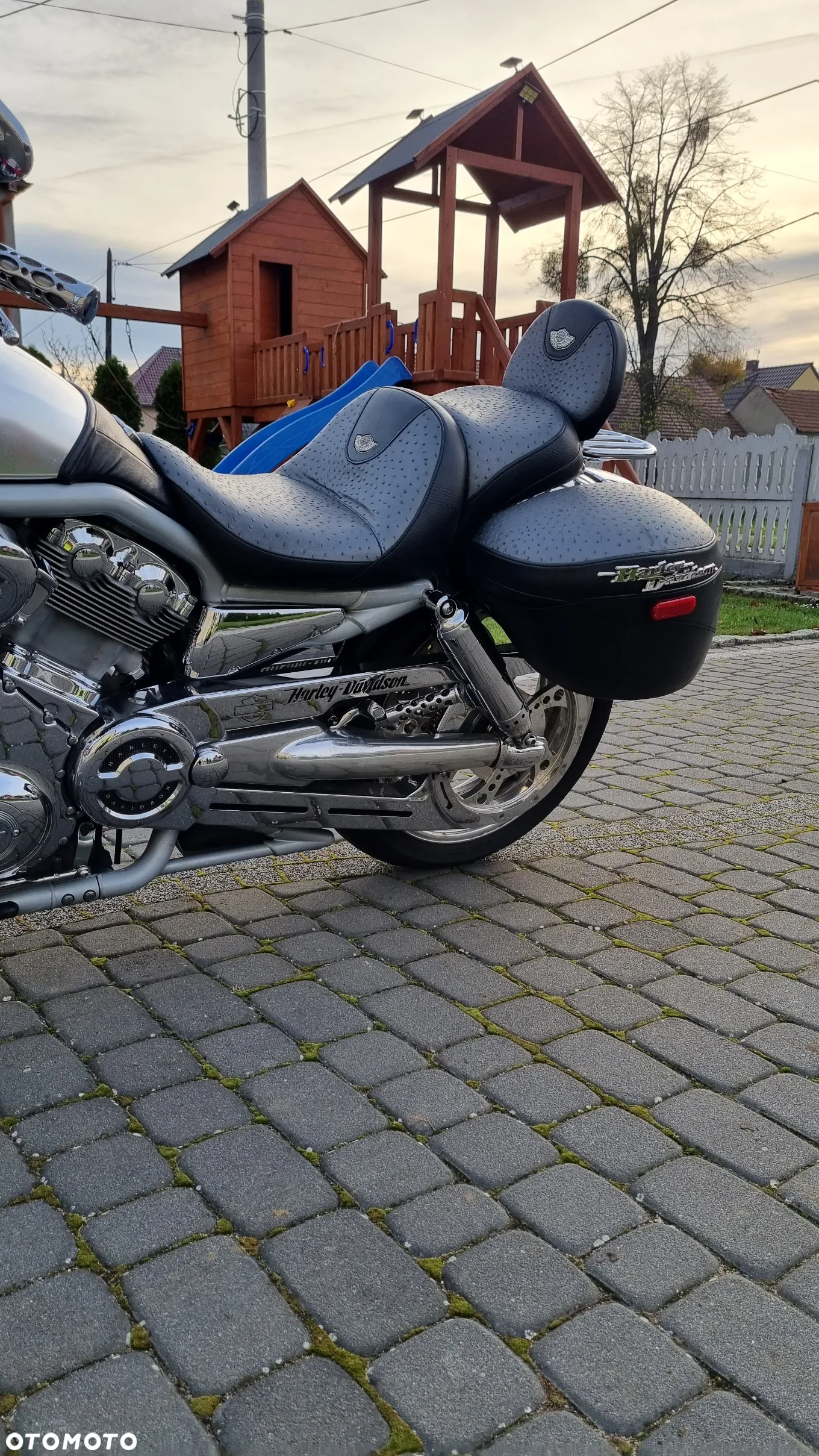 Harley-Davidson V-Rod Street Rod - 5