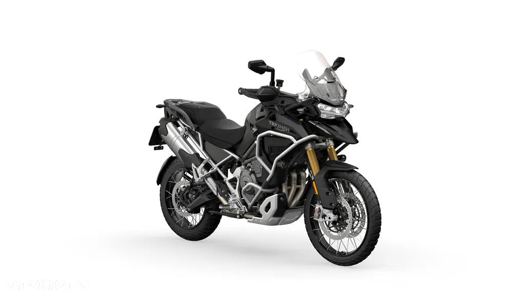Triumph Tiger - 7