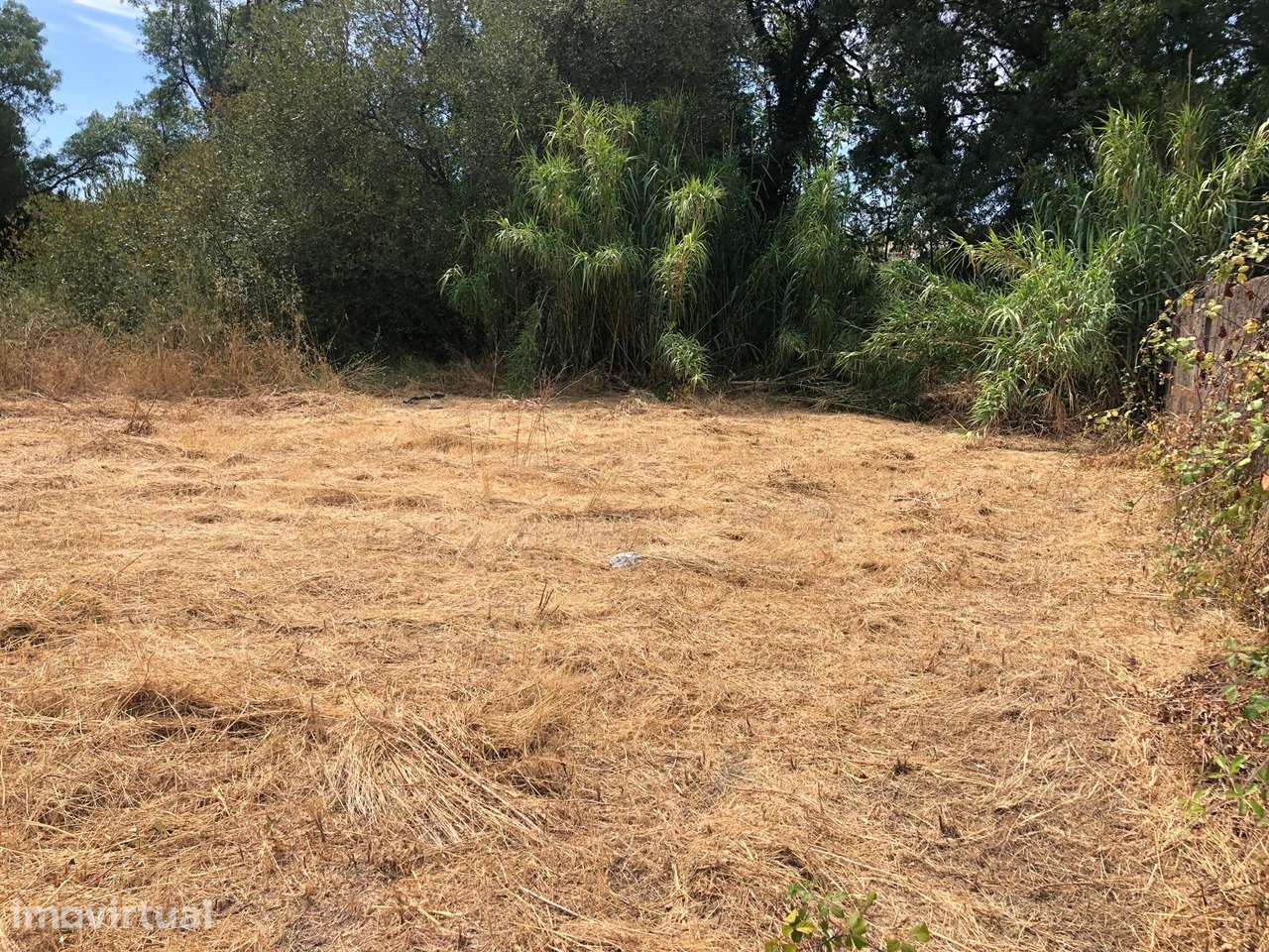 Terreno, 21 836 m², Torres Novas (Santa Maria, Salvador e Santiago) - Grande imagem: 4/4