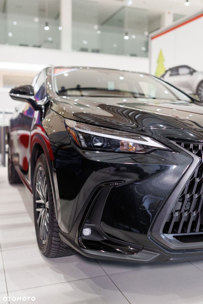 Lexus NX - 10